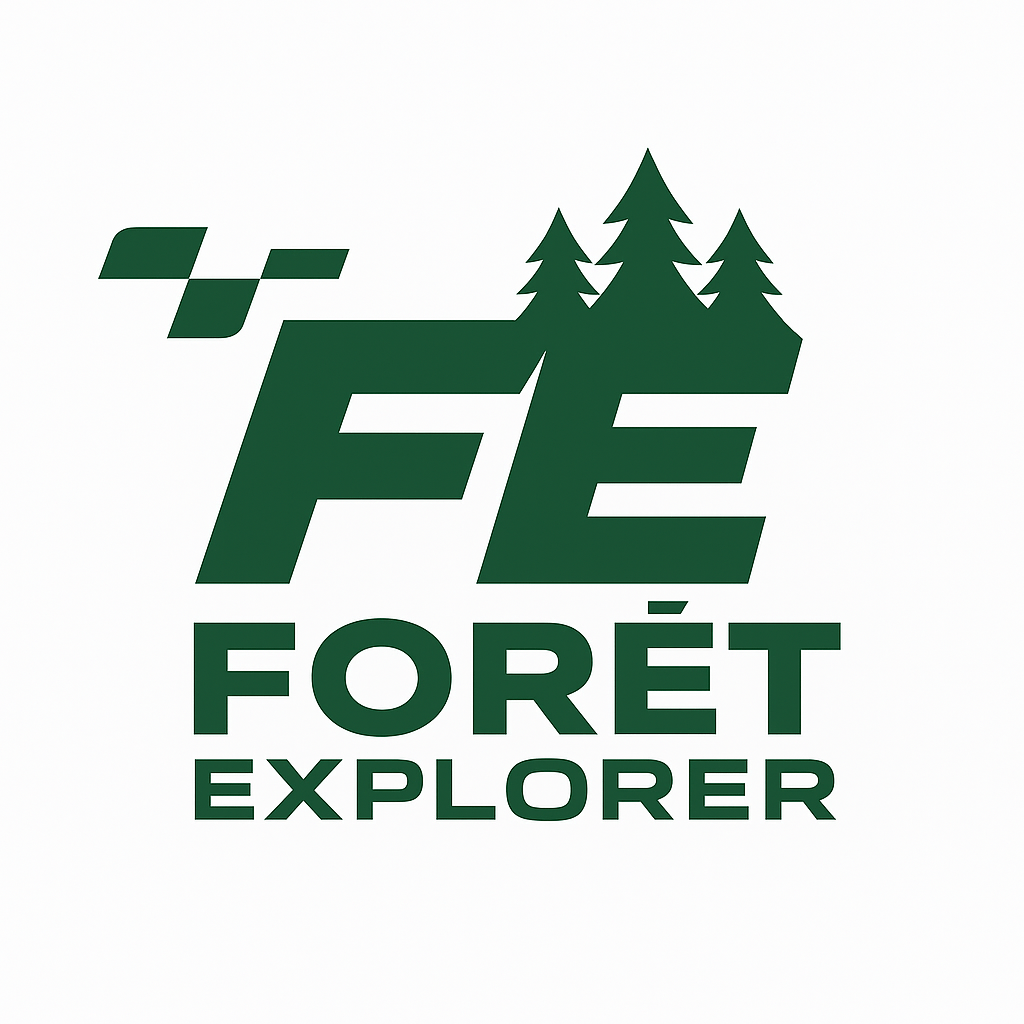 Forêt Explorer
